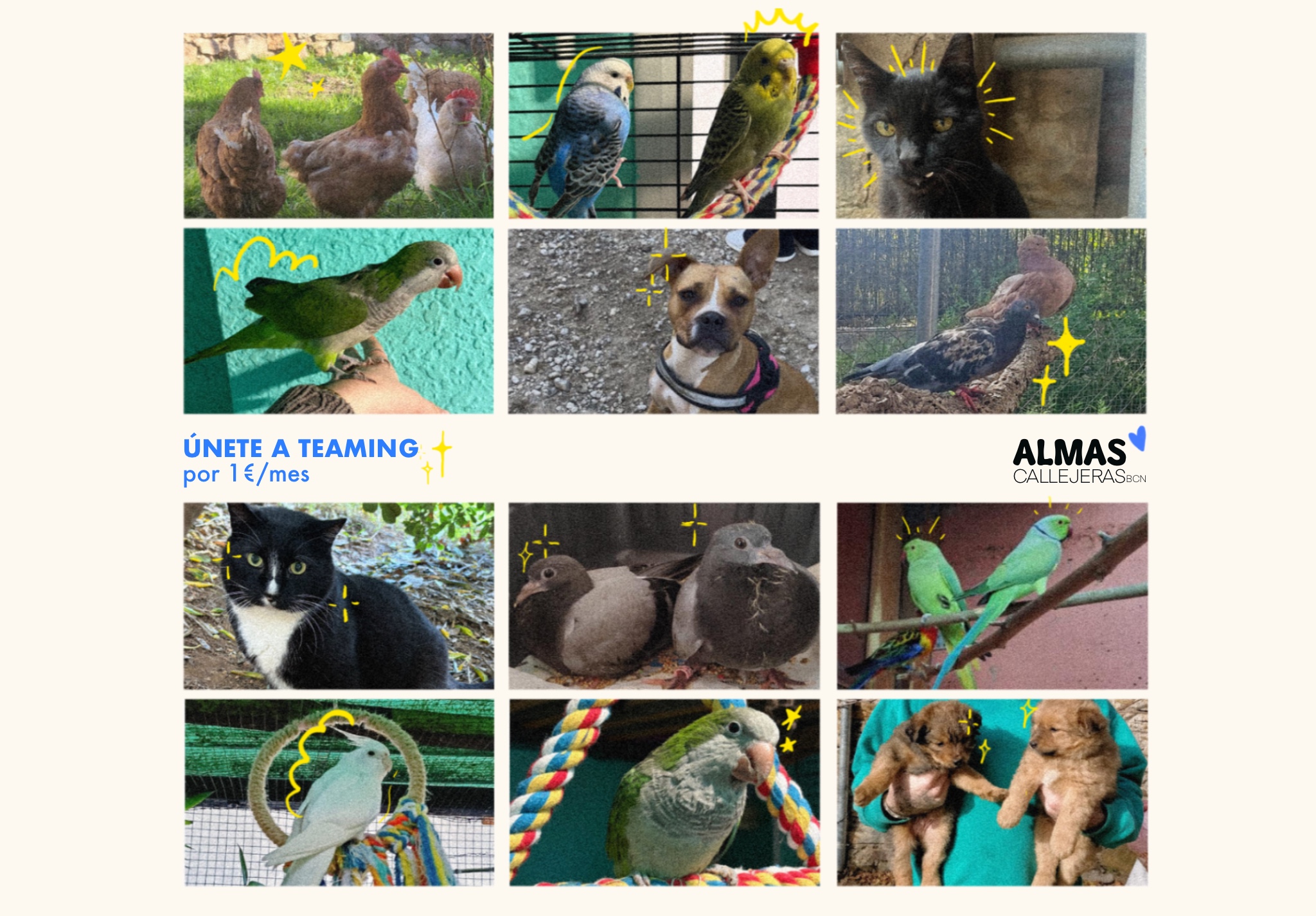 Almas callejeras bcn