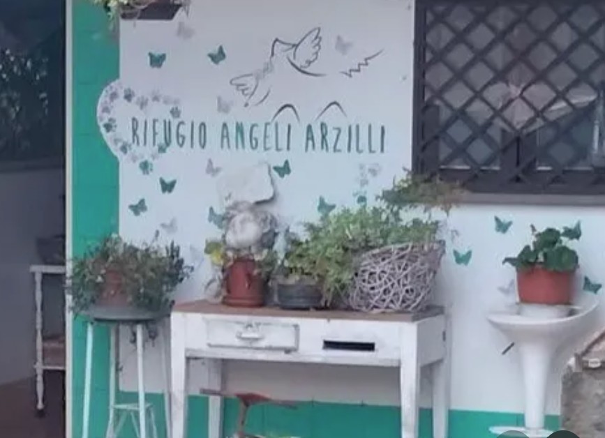Insieme per gli animali del Rifugio Angeli Arzilli