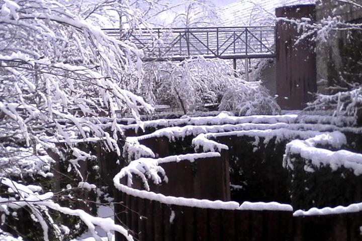 Amigos del Museo de Estelas