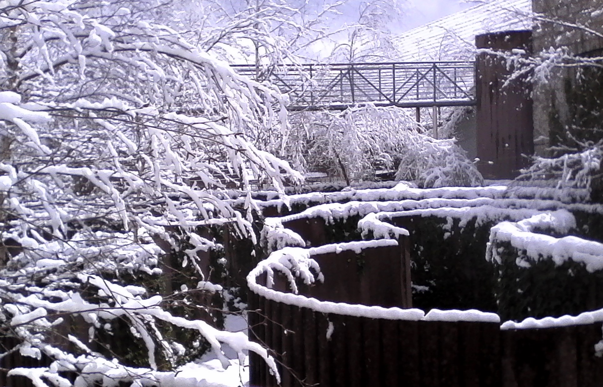 Amigos del Museo de Estelas