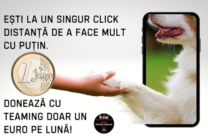 Ham Piatra Neamt (Youth For Neamt NGO)