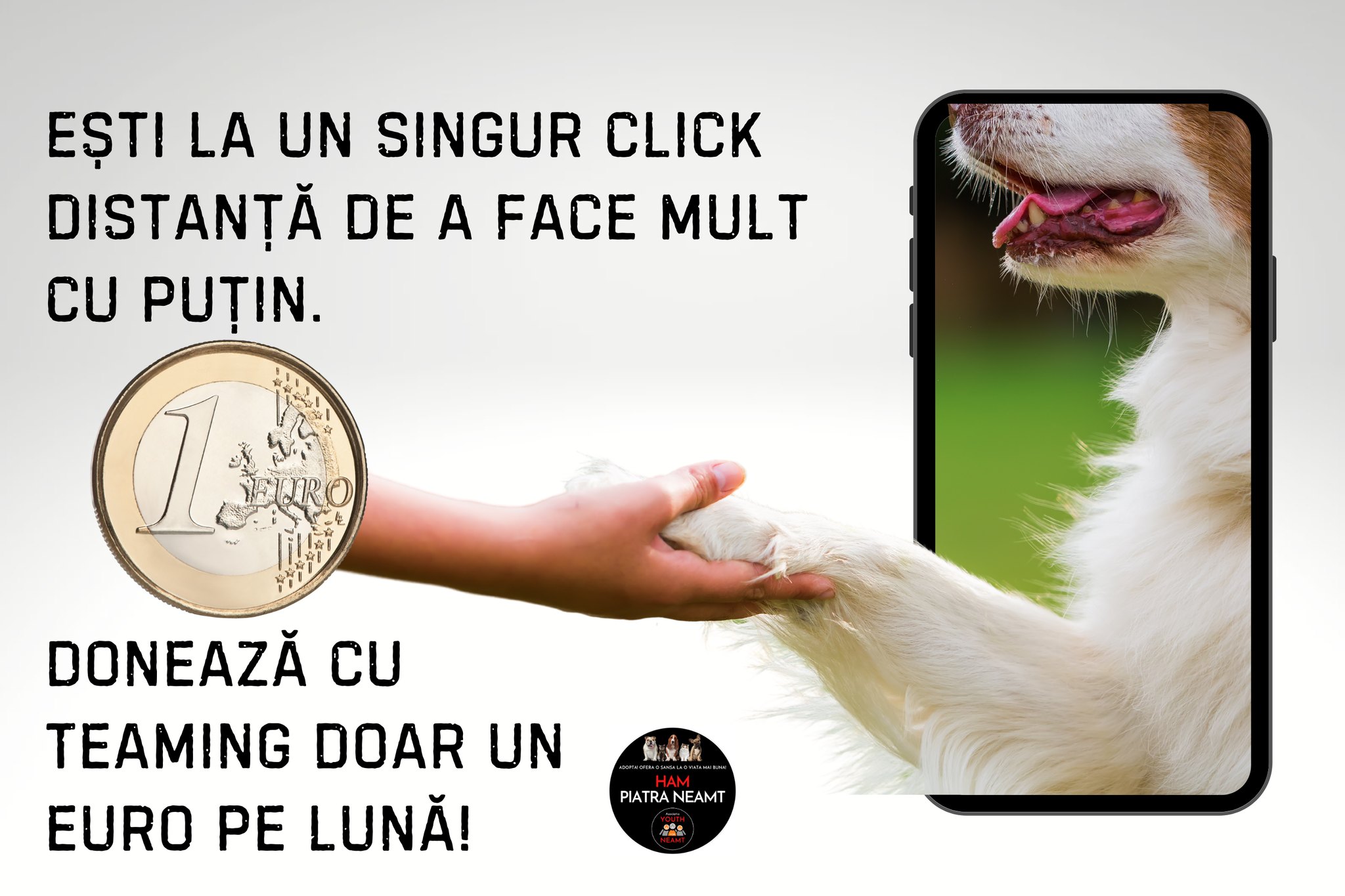 Ham Piatra Neamt (Youth For Neamt NGO)