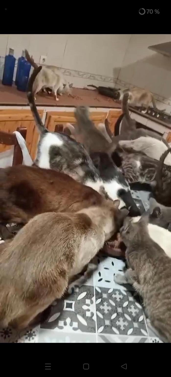 VILLA PATITAS