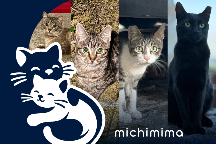 michimima