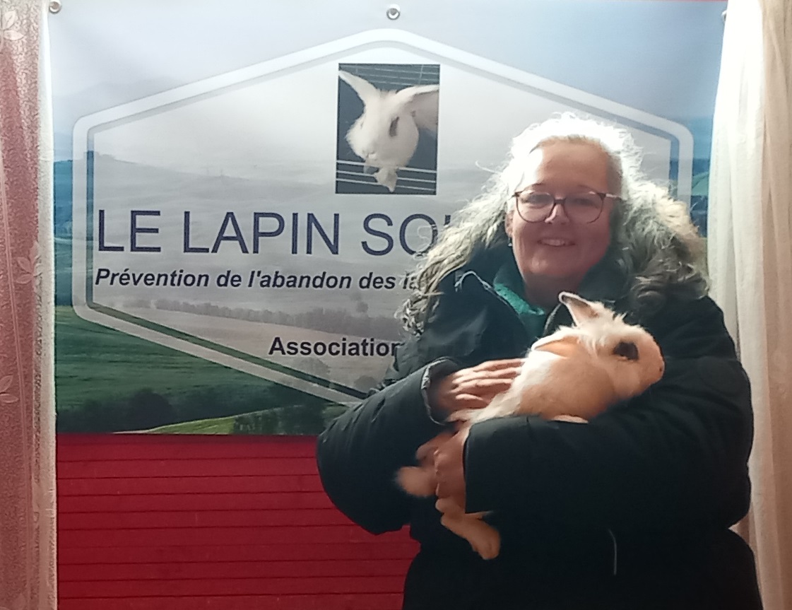 le lapin solidaire