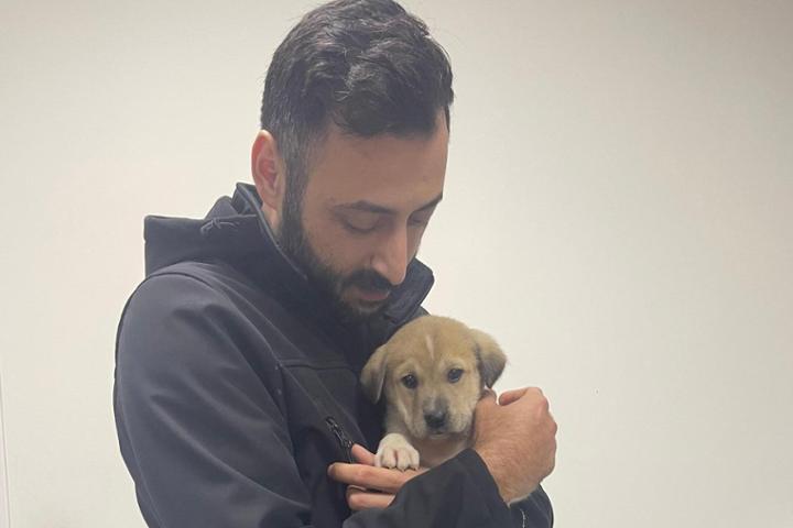Tierrettung Erkan – Hilfe für Straßenhunde in Çanakkale