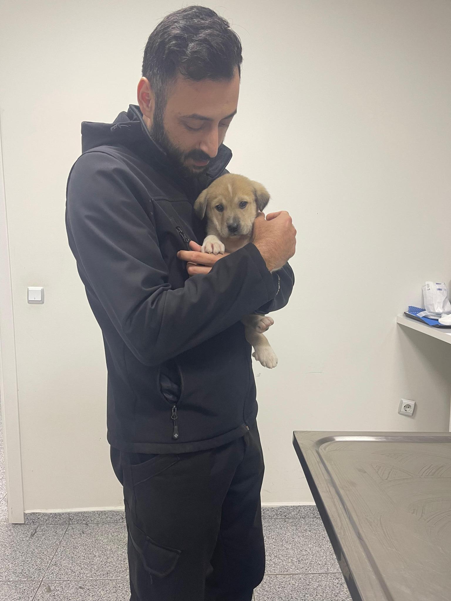 Tierrettung Erkan – Hilfe für Straßenhunde in Çanakkale