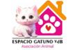 Espacio Gatuno vdb