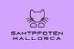 Samtpfoten Mallorca
