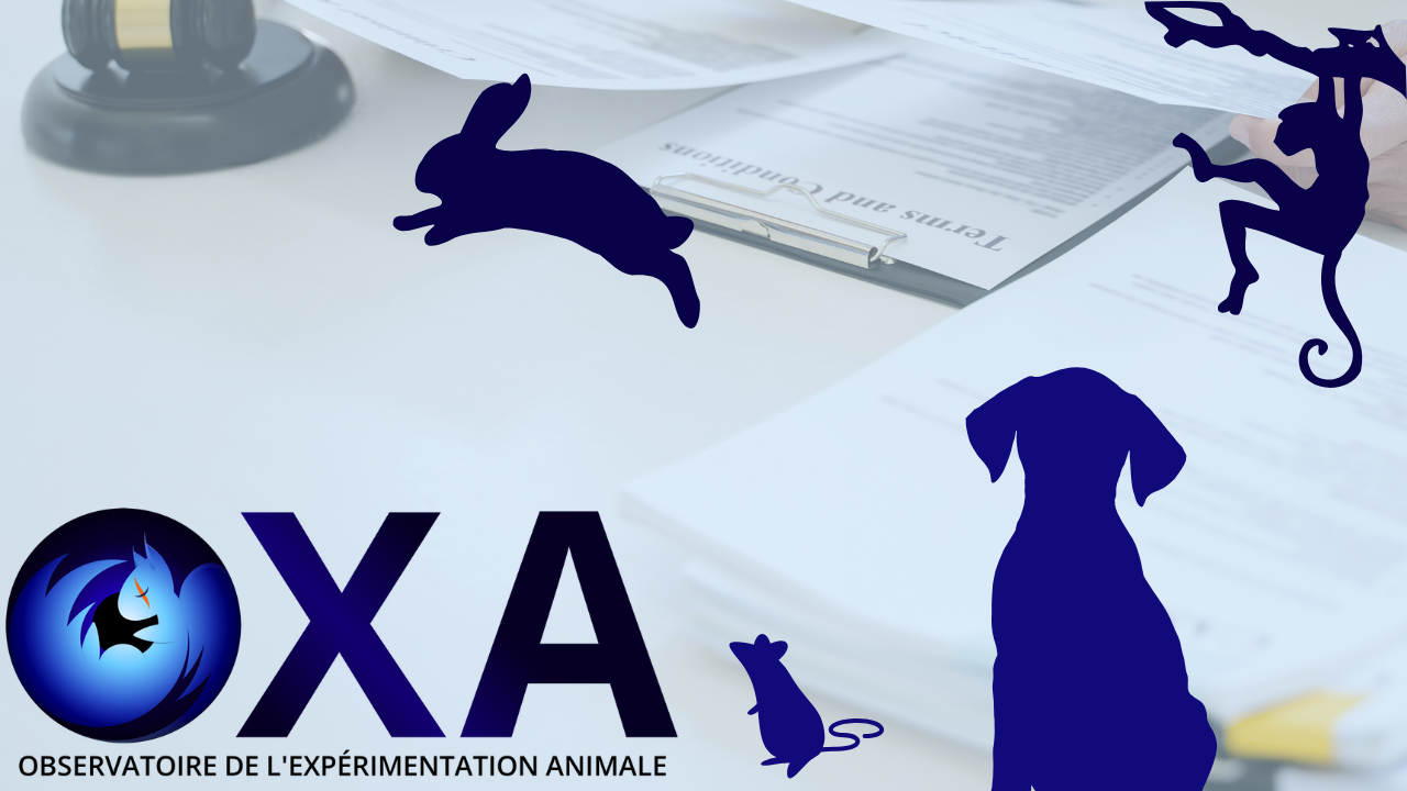Observatory of Animal Experimentation