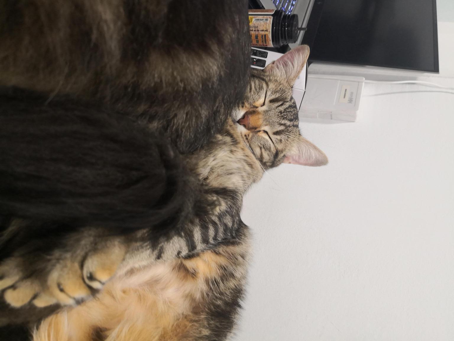 BCN Tech City 4 Social