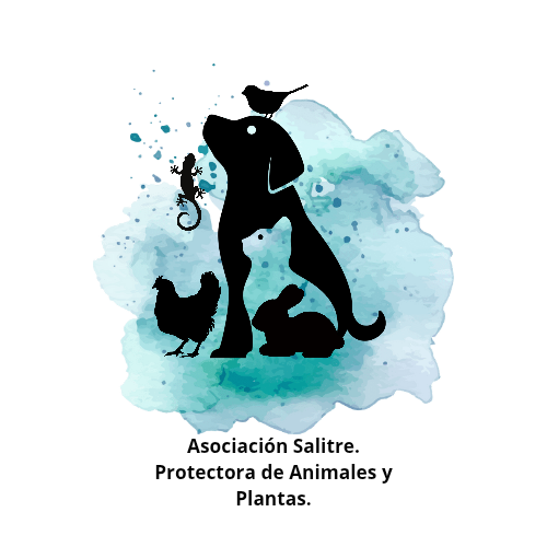 Rescate Animal Salitre