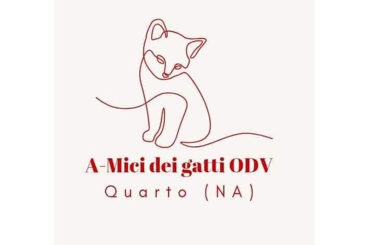 A-mici dei gatti ODV