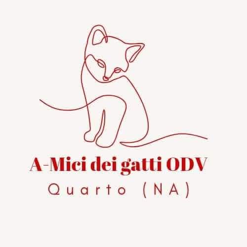 A-mici dei gatti ODV