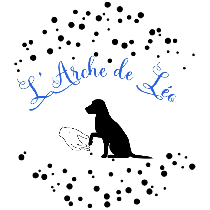L'Arche de Léo
