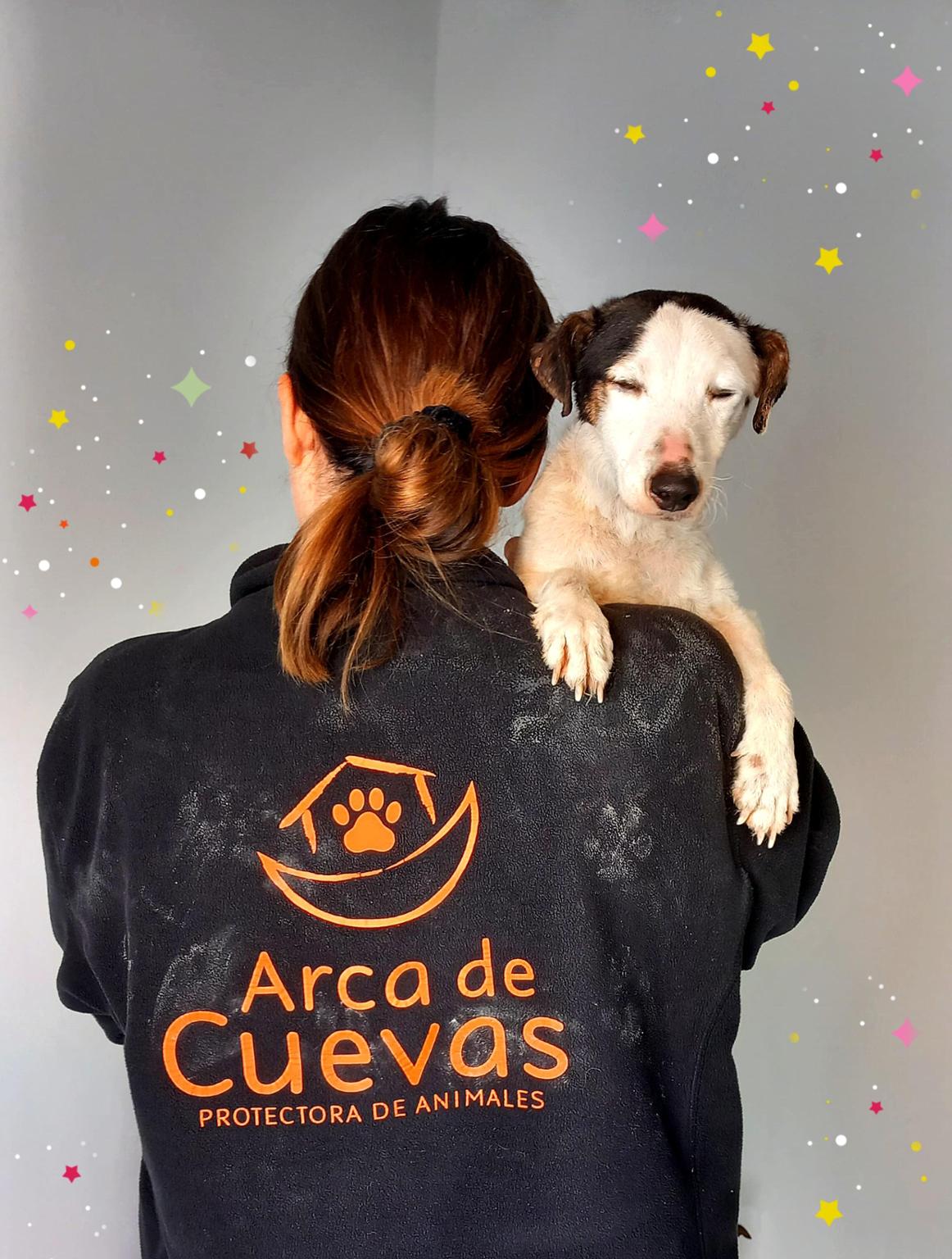 Protectora Animal El Arca de Cuevas