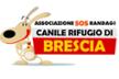 ASSOCIAZIONE S.O.S. RANDAGI - CANILE RIFUGIO DI BRESCIA