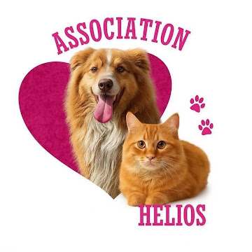 Association Hélios