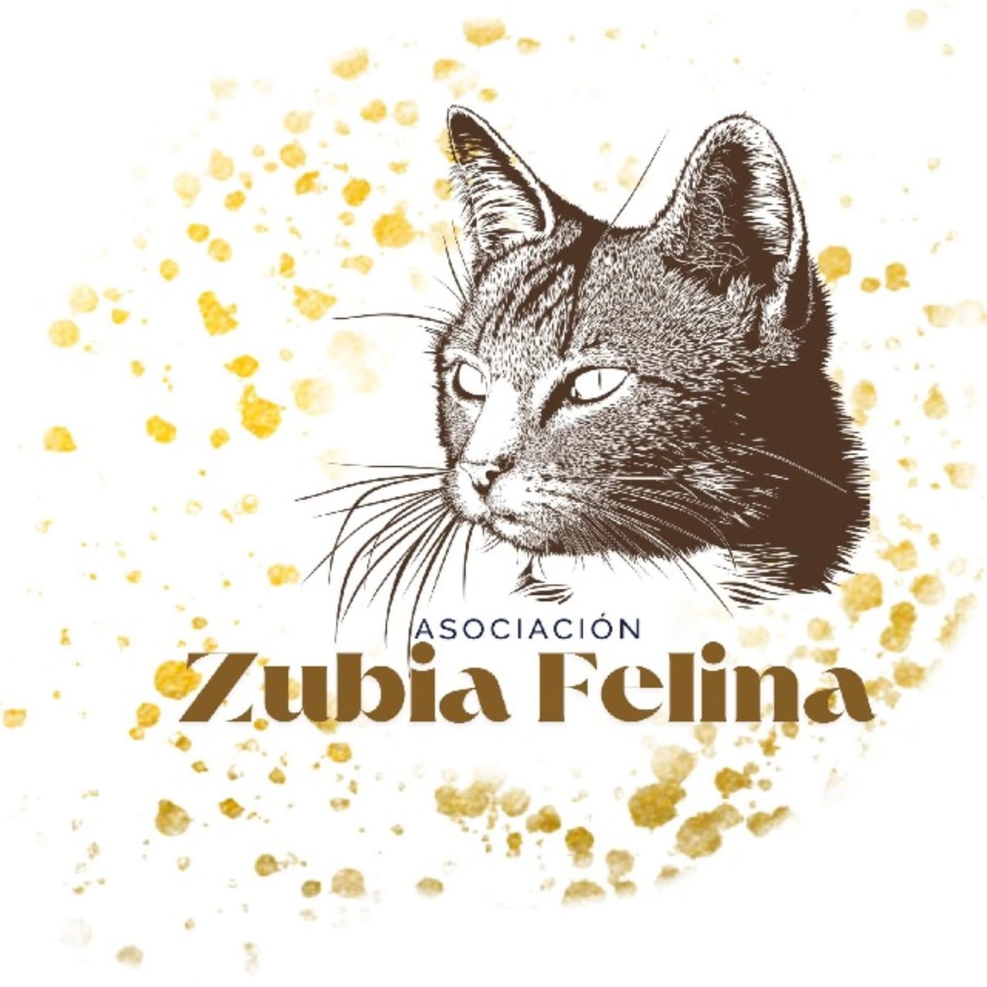 Asociación Zubia Felina