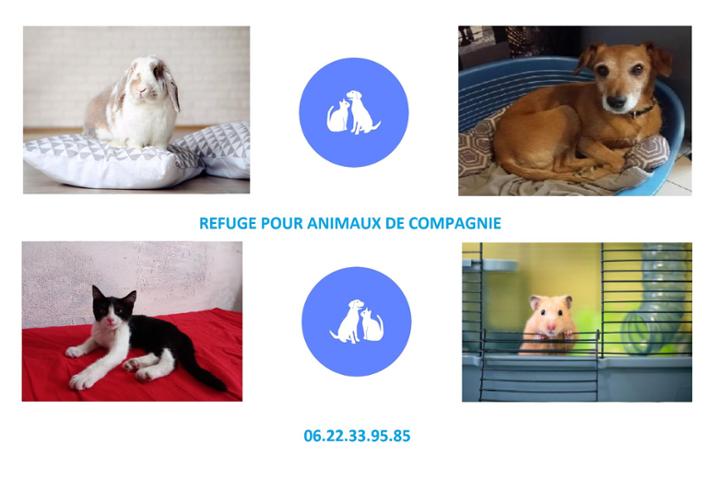 Refuge pouranimaux de compagnie