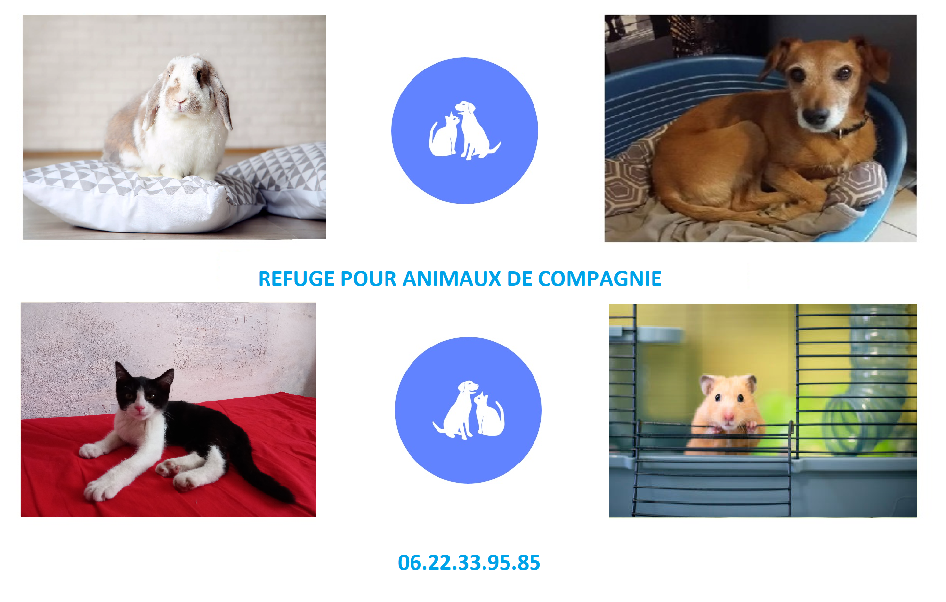 Refuge pouranimaux de compagnie