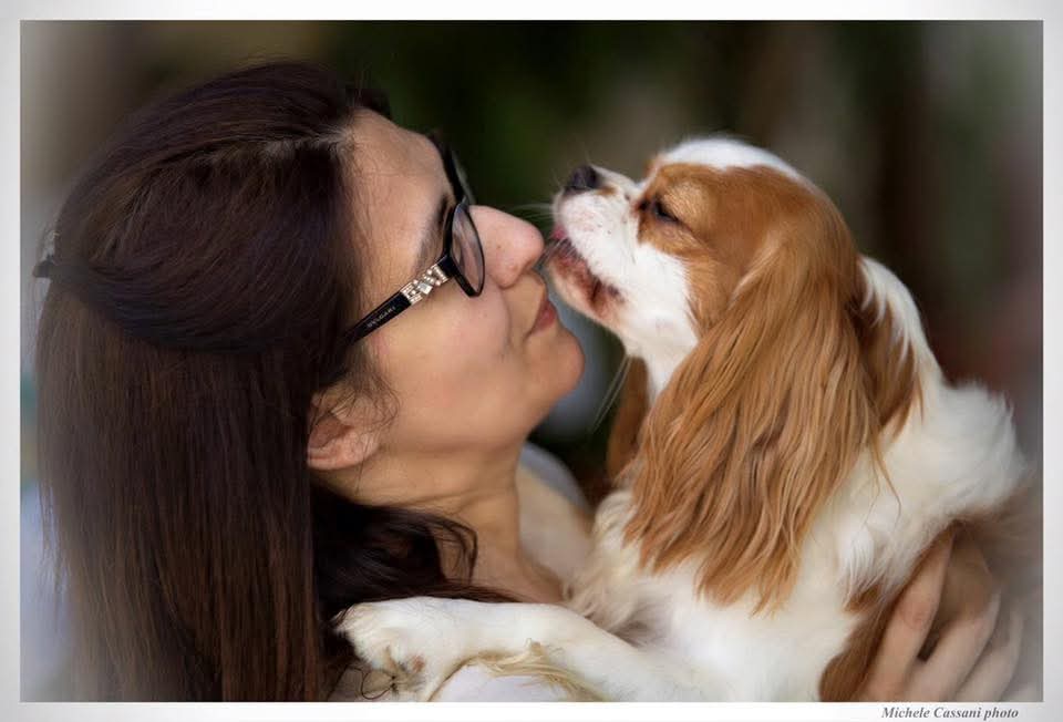 Il sogno dei Cavalier: dalla prigionia al calore di una casa