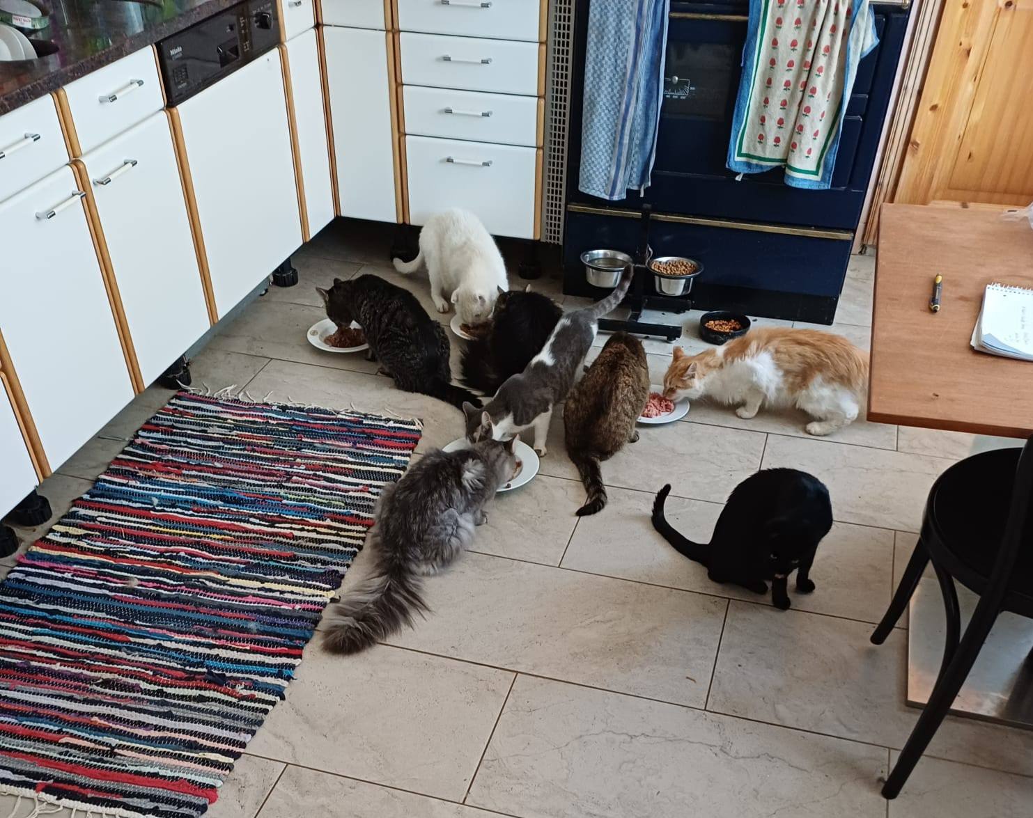 Willis Regenbogenland, Peter Berger Gnadenhof