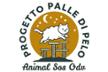 Progetto Palle di Pelo
