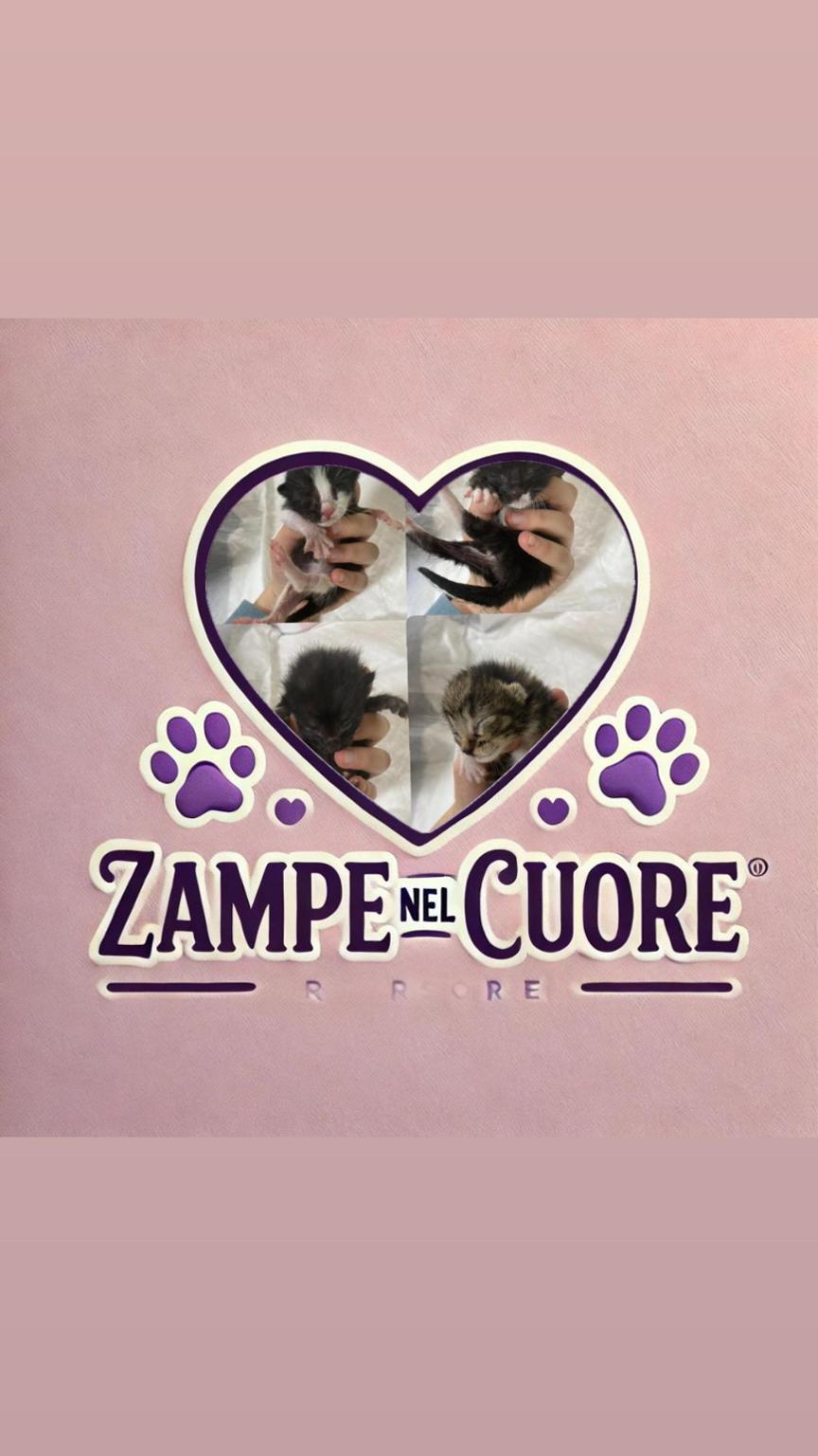Zampe nel Cuore