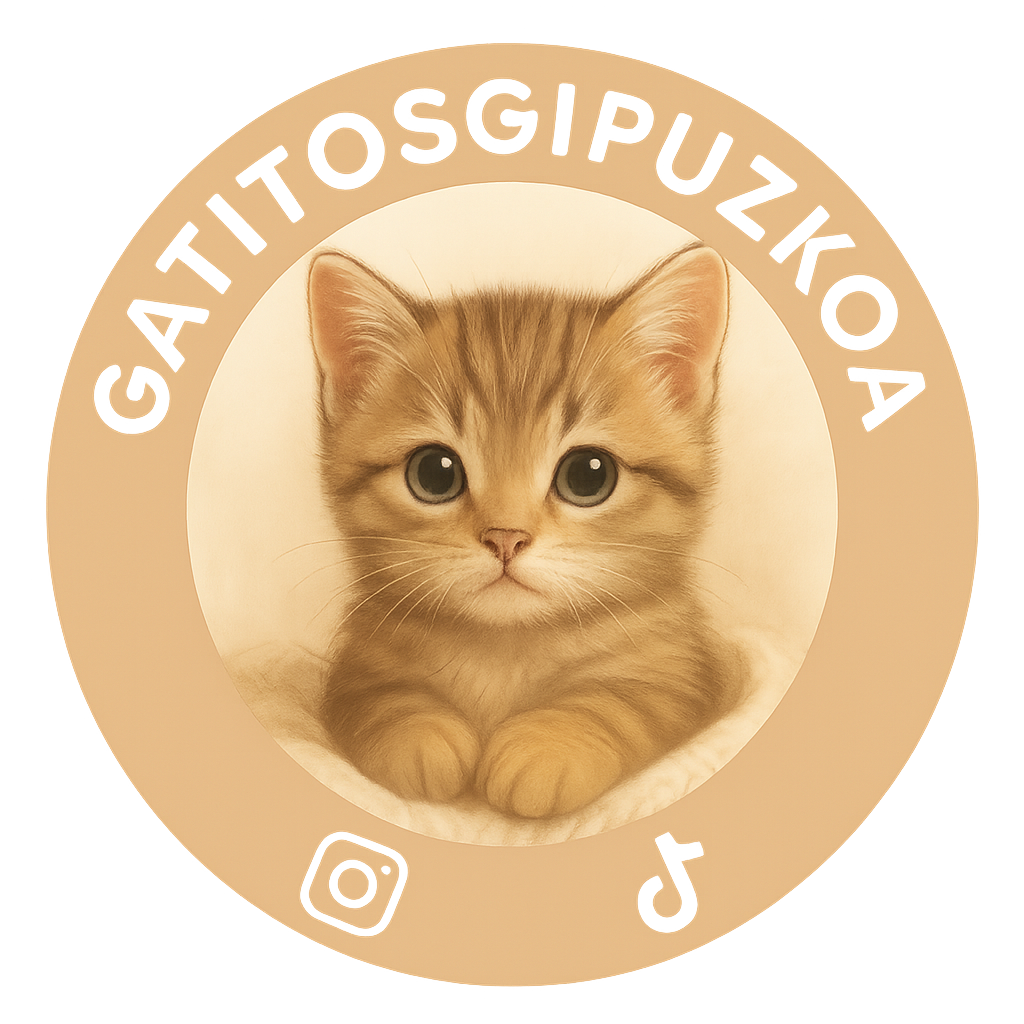 GatitosGipuzkoa