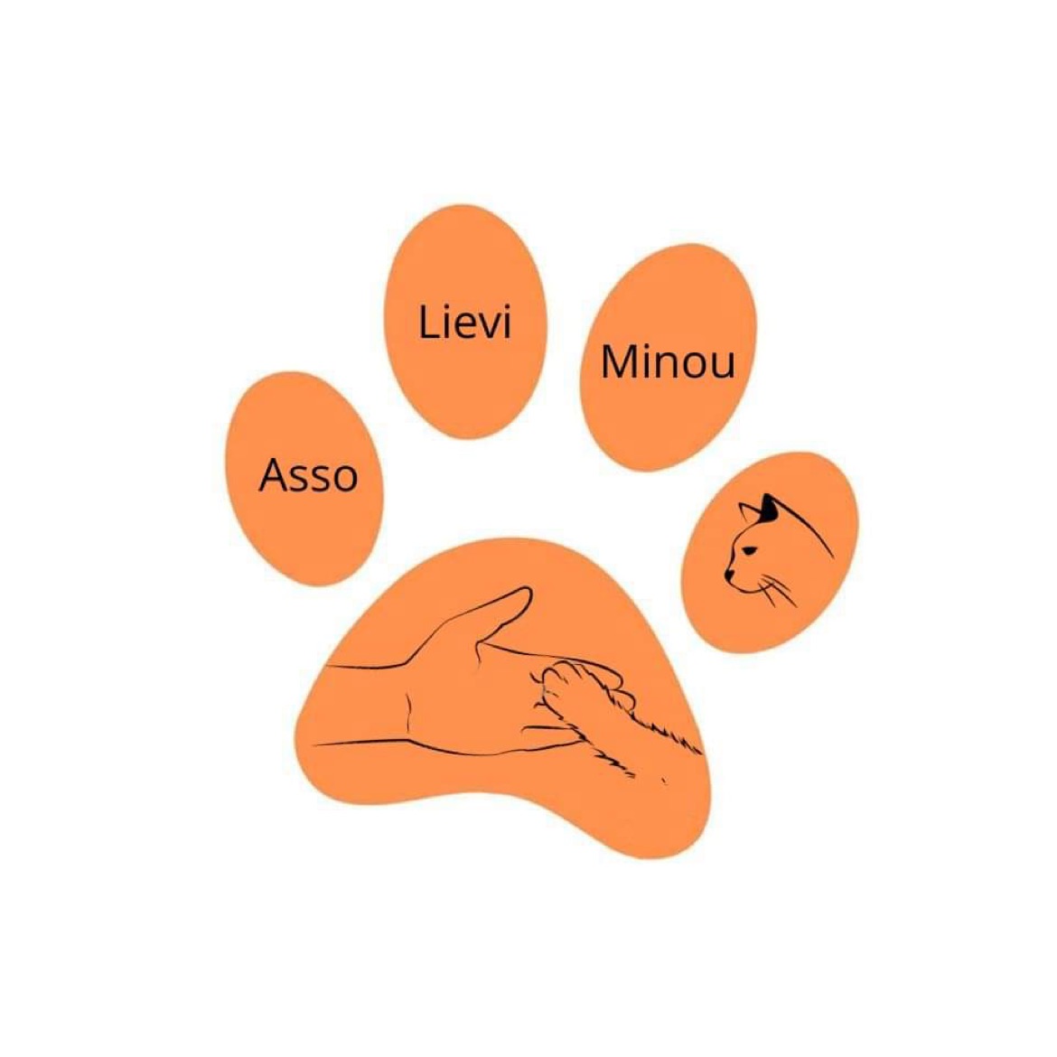 Asso Lievi minou