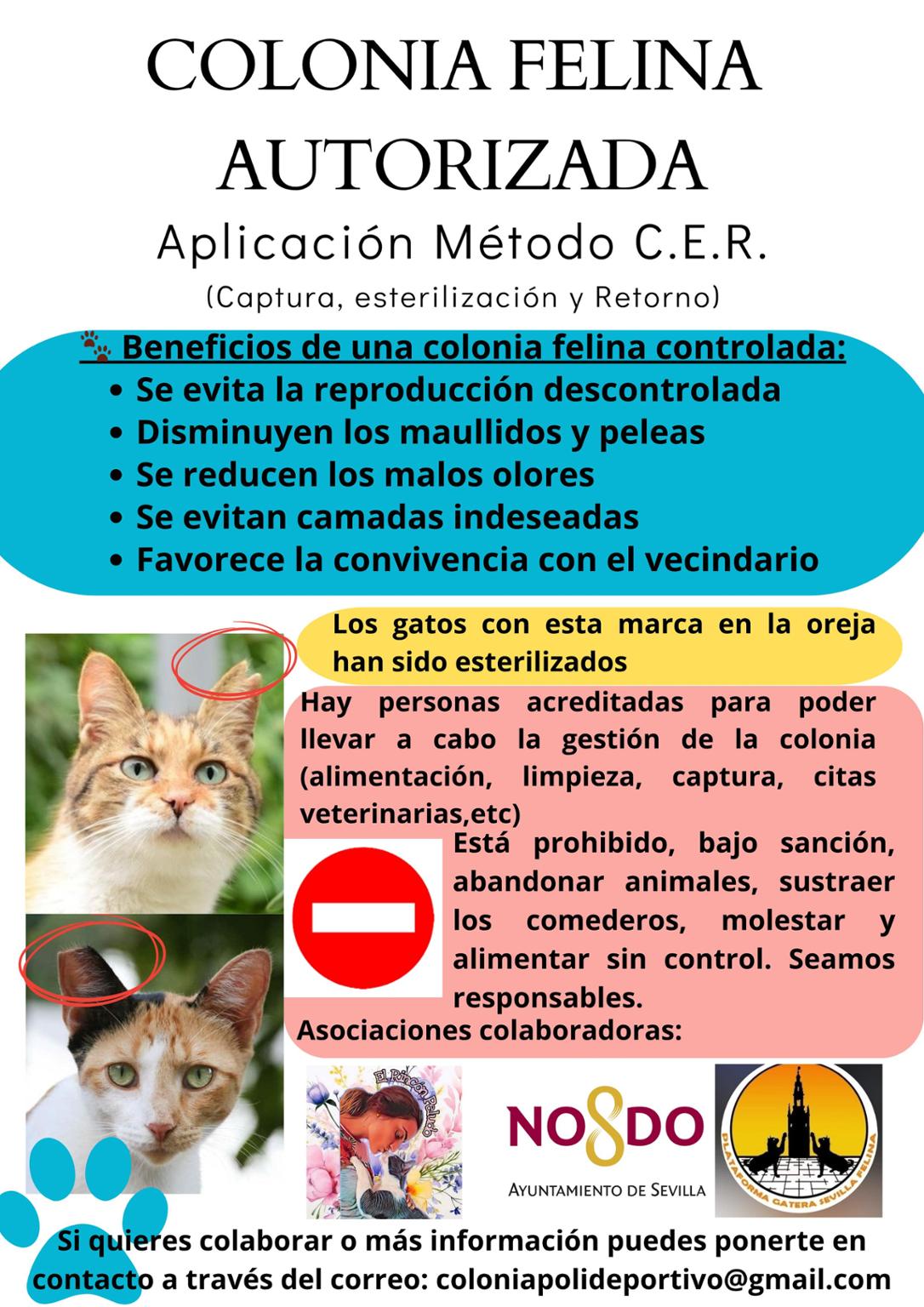 C.E.R CERRO DEL AGUILA