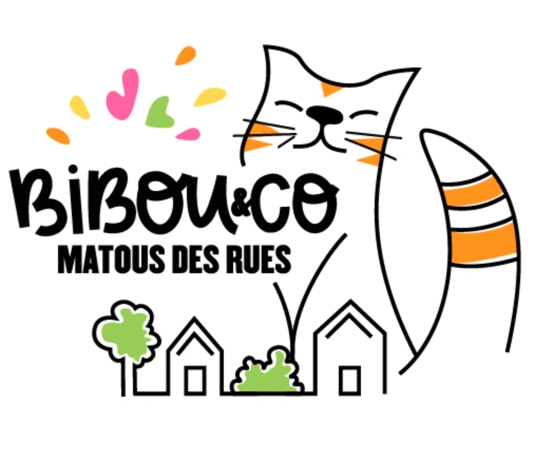Bibou&Cie Matous des rues