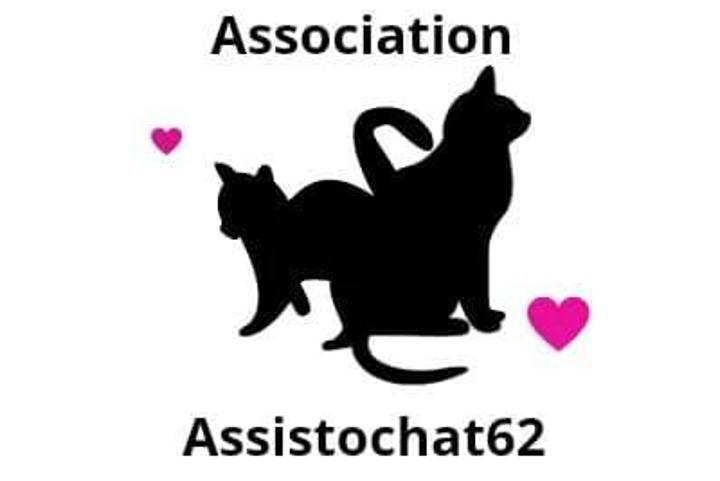 Asso. ASSISTOCHAT Meurchin