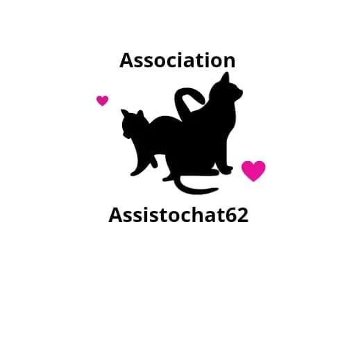 Asso. ASSISTOCHAT Meurchin