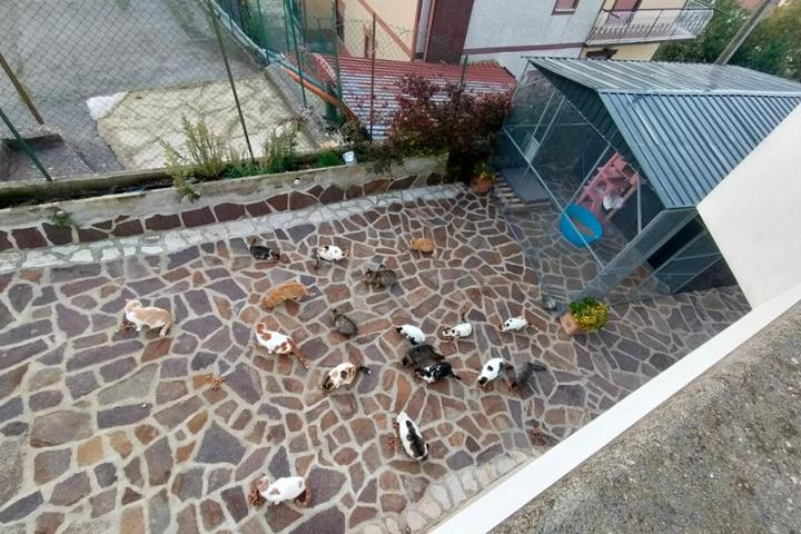 Rifugio Miciotti Sereni