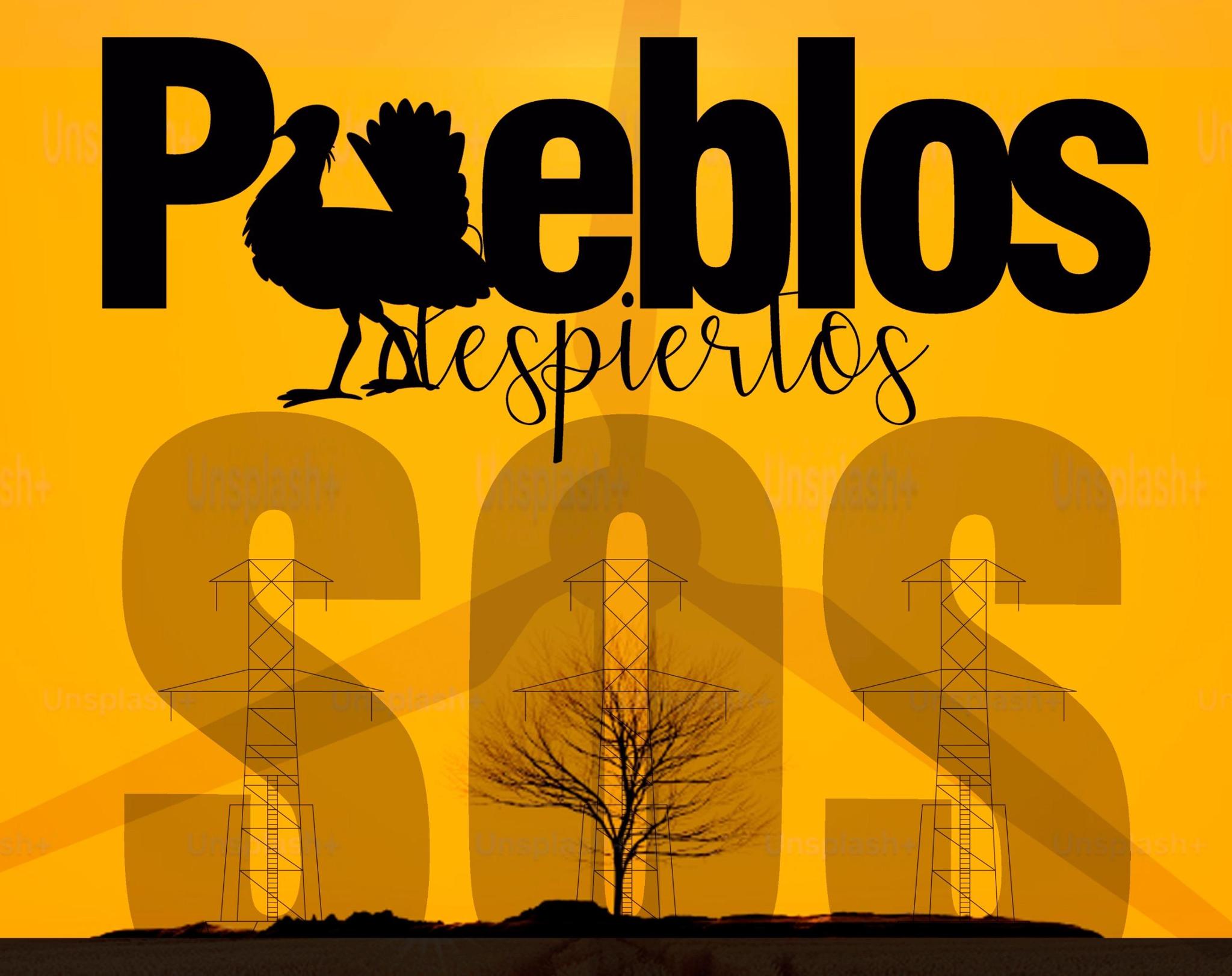 Asociación Pueblos Despiertos