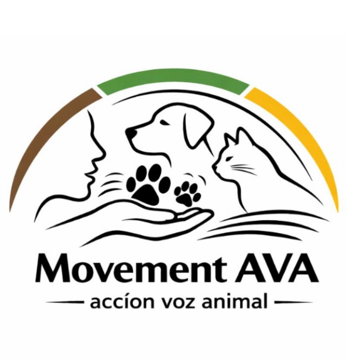 AVA MOVEMENT