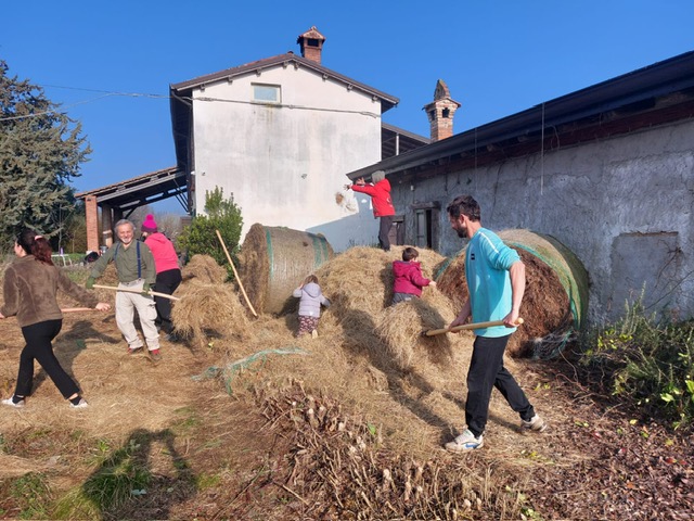 Fondazione Oasi Coltivazione Elementare