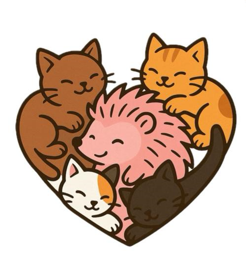 Espinete’s kittens