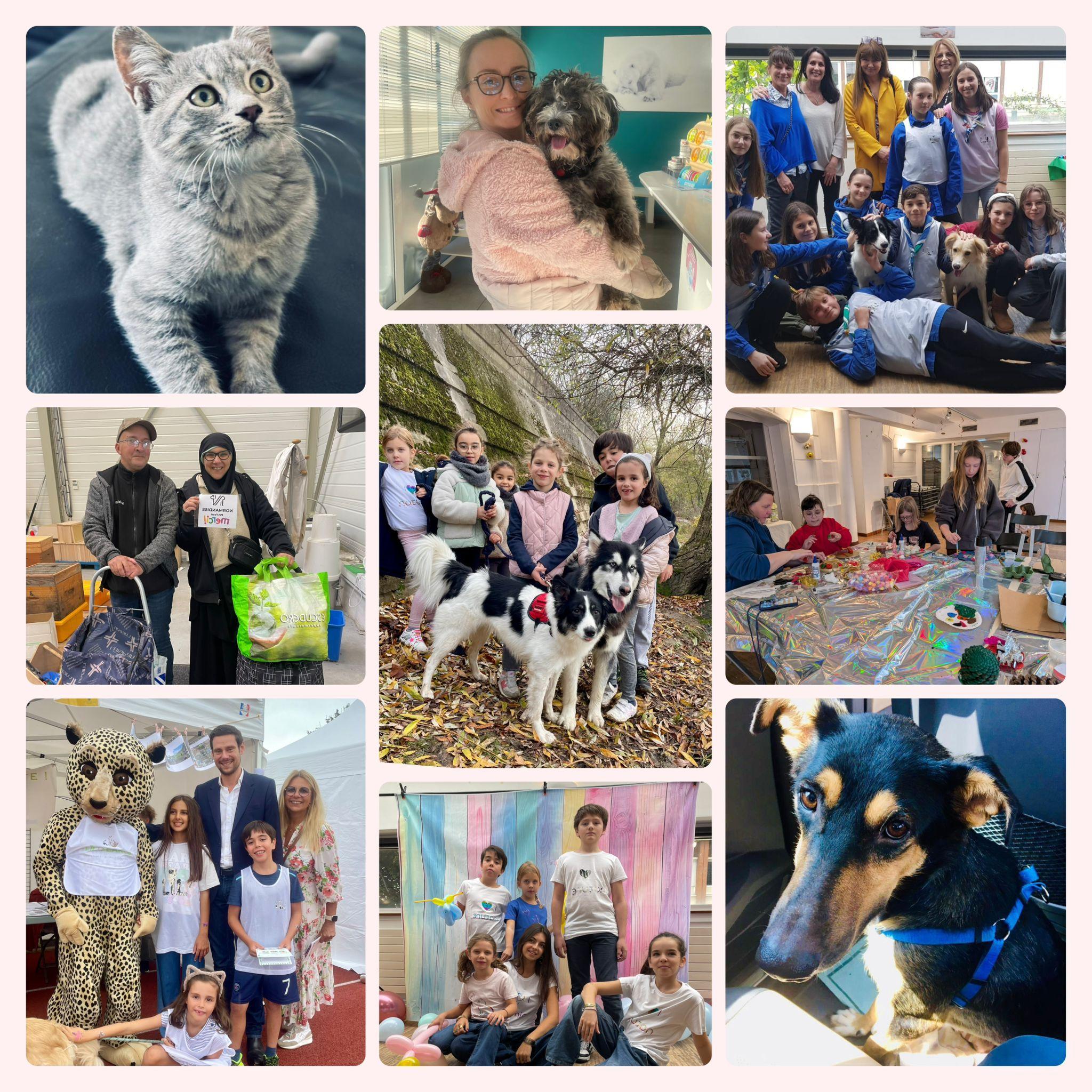 Vous aimez les animaux et souhaitez les aider ? Faites un don à Pearls