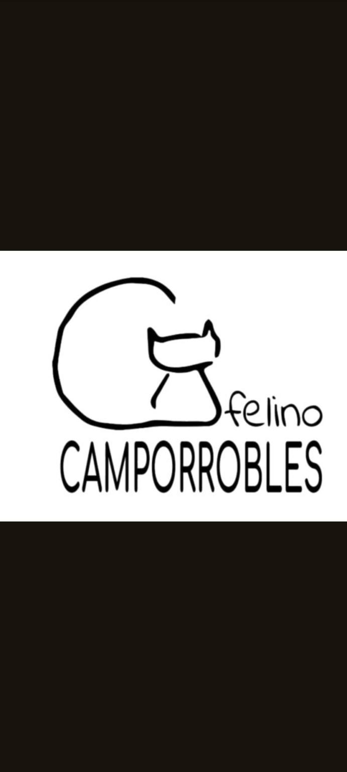 Camporrobles Felino