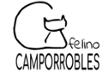 Camporrobles Felino