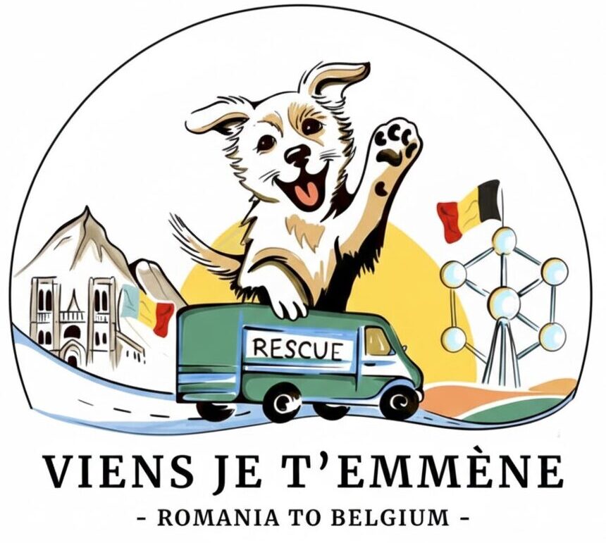 Viens je t'emmène A.S.B.L. au secours des chiens de Roumanie