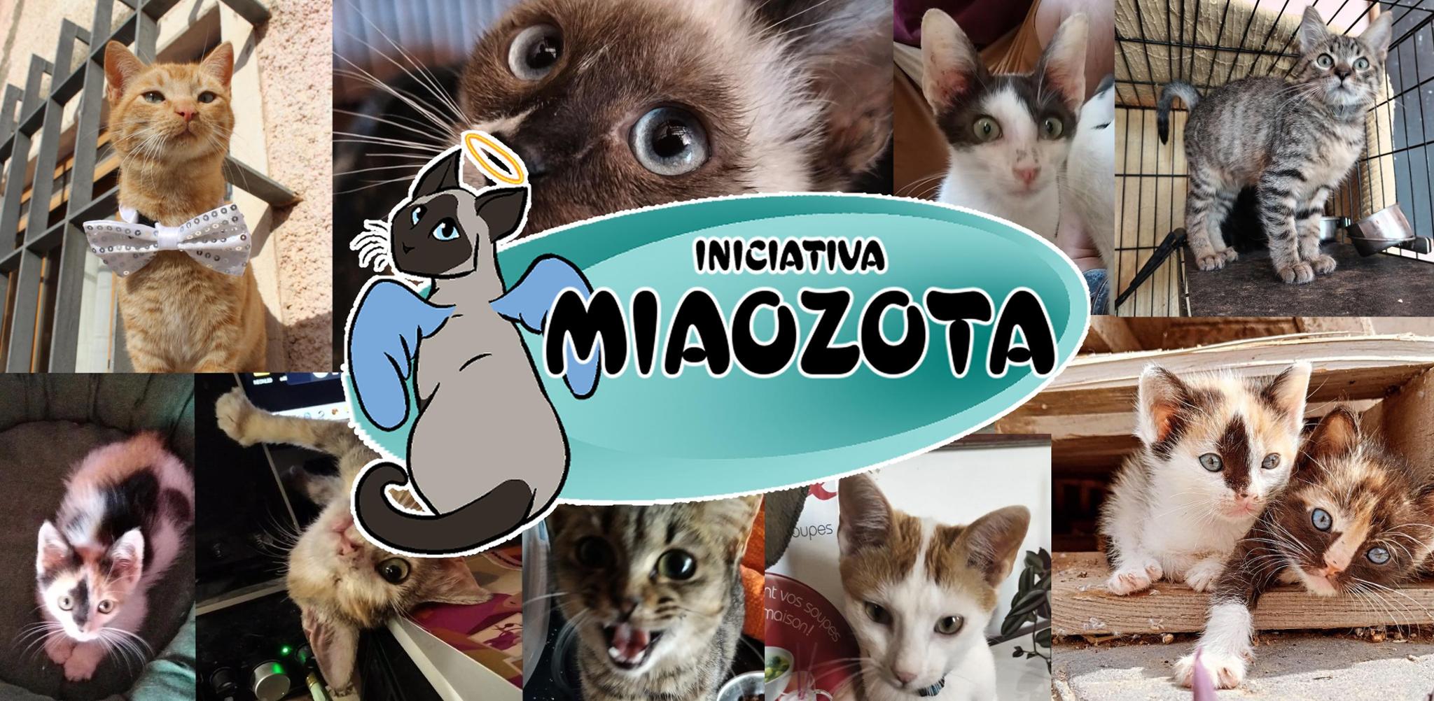 Funds to buy Miaozota' supplies