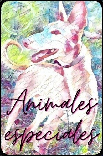 Animales Especiales