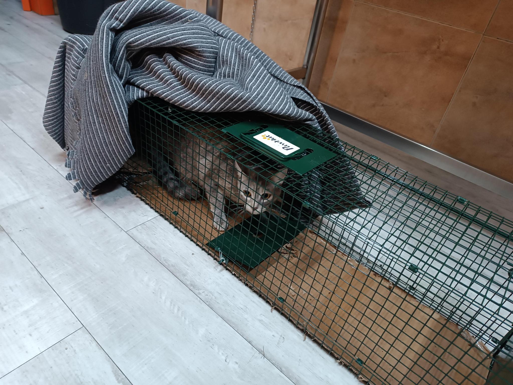 Asociación GatoCan Natura Rural