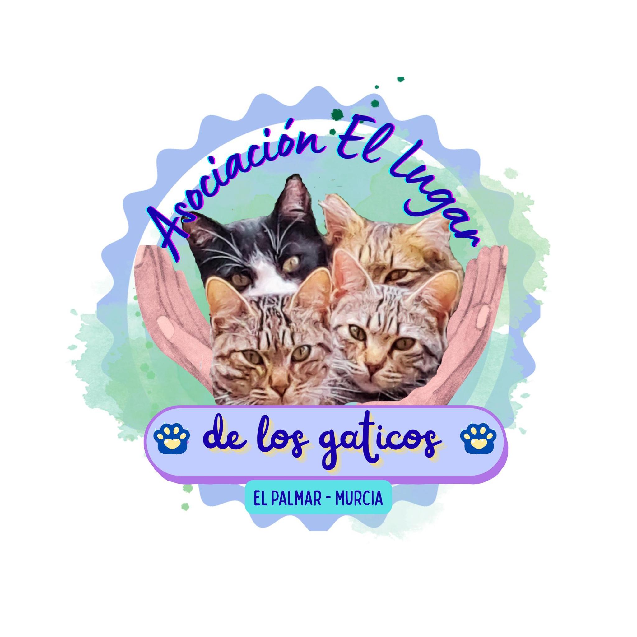 Asociación El Lugar de los gaticos