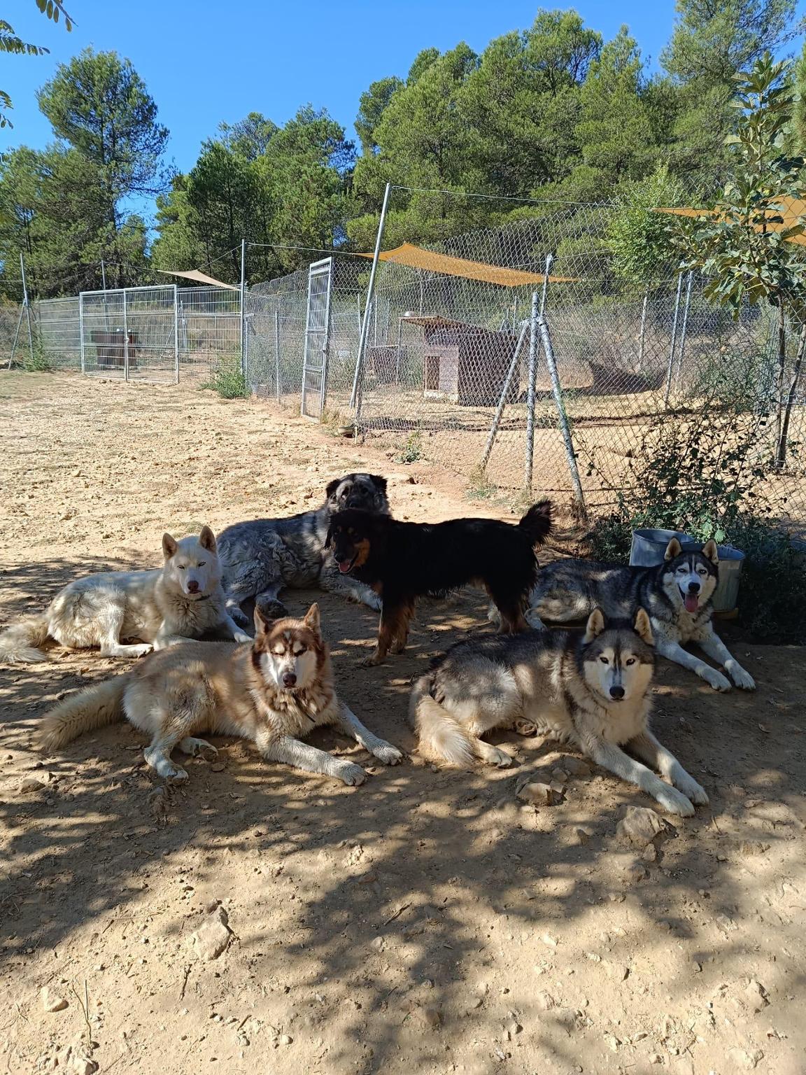 Residencias de los Nórdicos