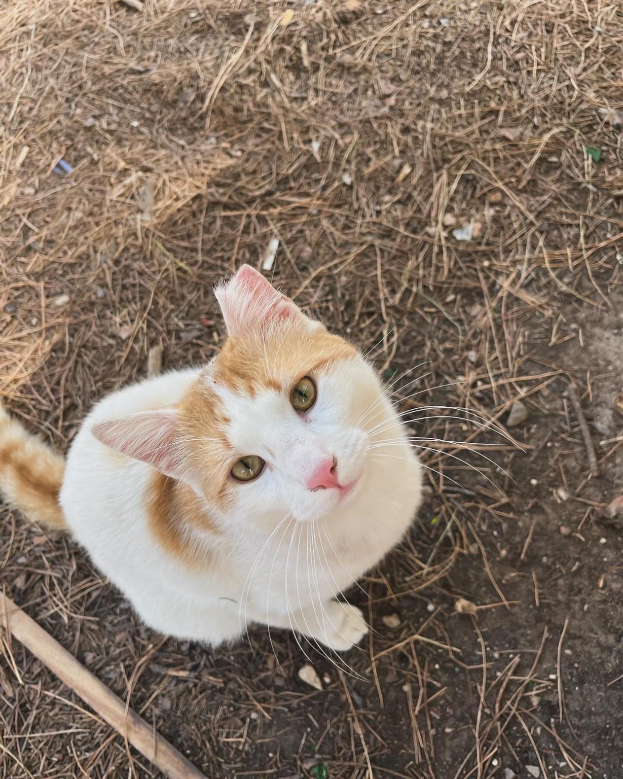 Dolci Vagabondi❤️